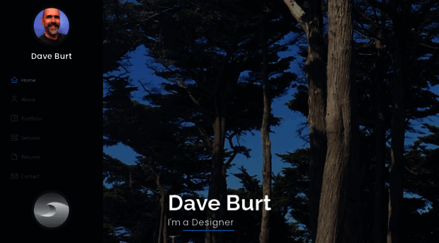 bigwavedave.net