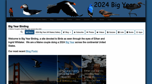 bigyearbirding.com