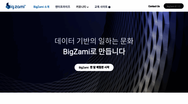 bigzami.com