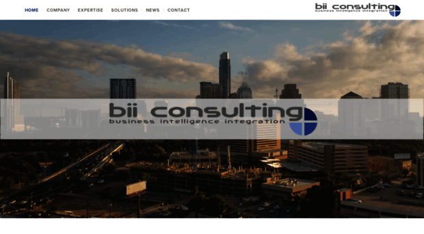 biiconsulting.com