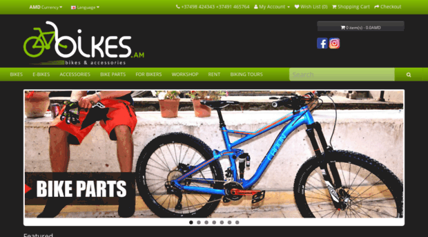 online bicycle retailers