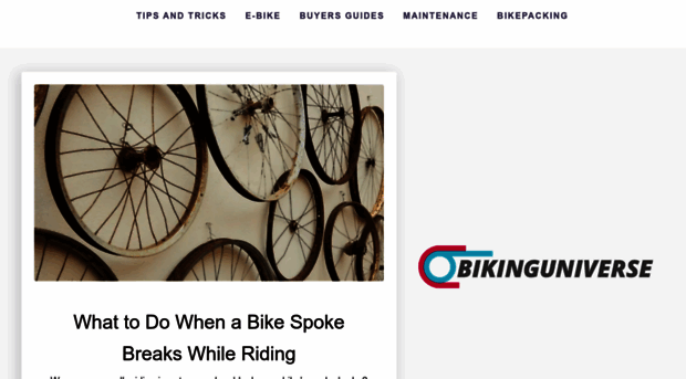 bikinguniverse.com