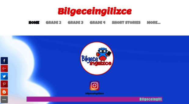 bilgeceingilizce.weebly.com