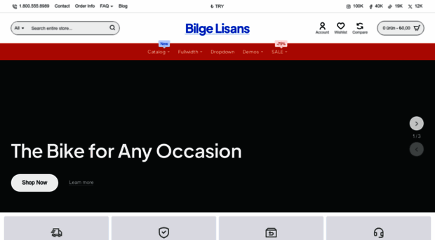 bilgelisans.com