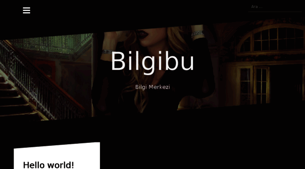 bilgibu.com