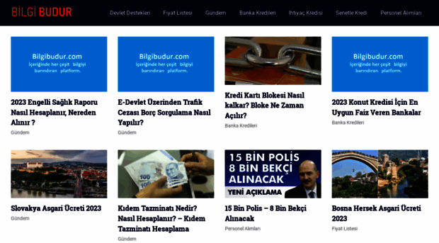 bilgibudur.com