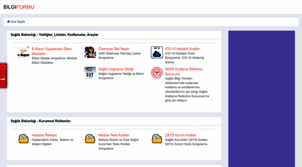 bilgiformu.net