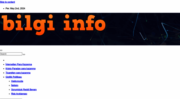 bilgiinfo.com