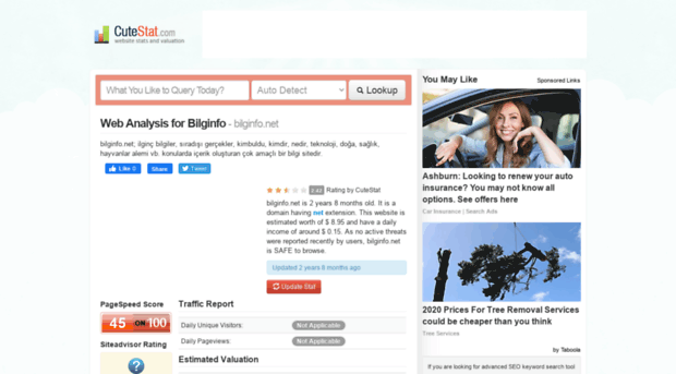 bilginfo.net.cutestat.com