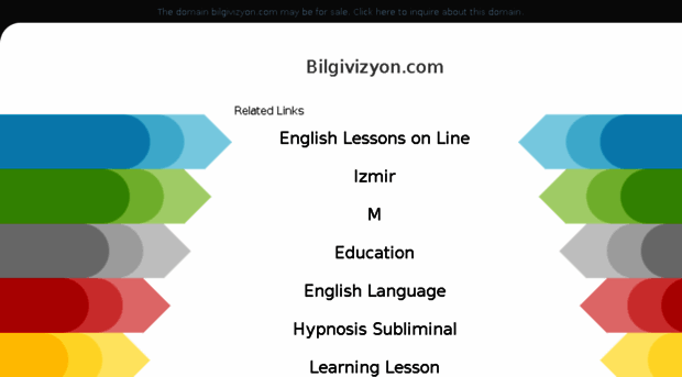 bilgivizyon.com