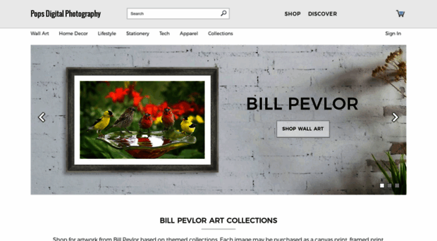 bill-pevlor.pixels.com