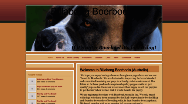 billabongboerboel.webs.com