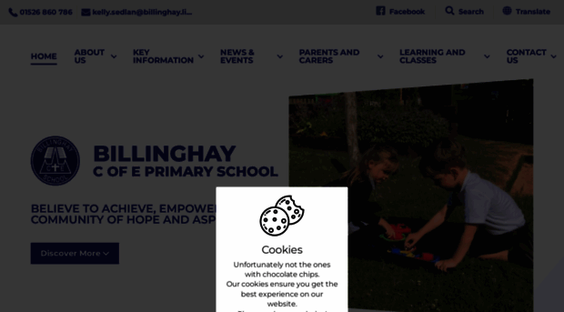 billinghayprimaryschool.co.uk