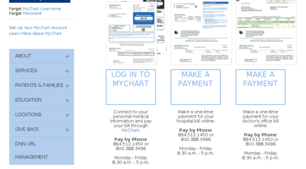 billpay.anmedhealth.org