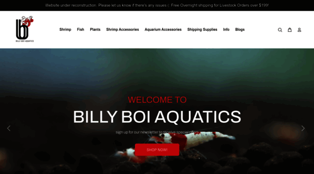 billyboiaquatics.com