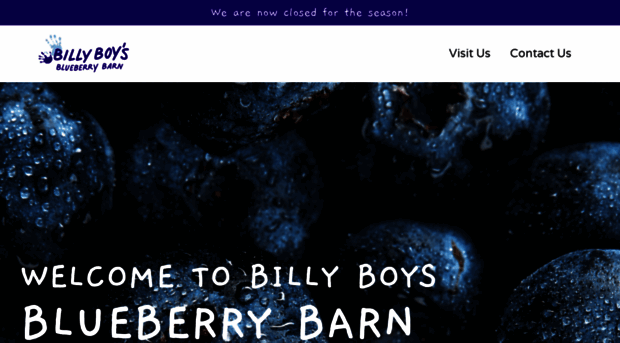 billyboysblueberrybarn.com
