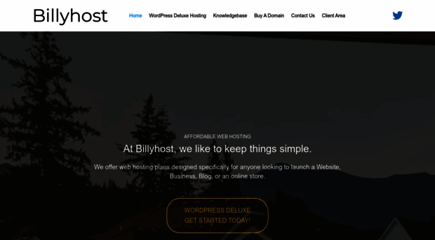 billyhost.com