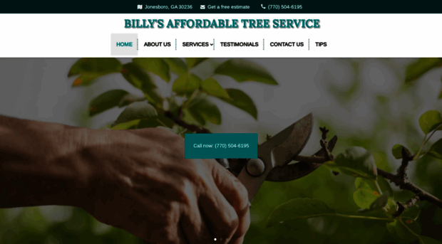 billys-treeservice.com