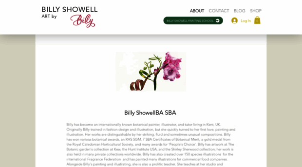 billyshowellfineart.com