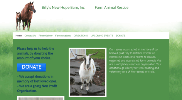 billysnewhopebarn.com