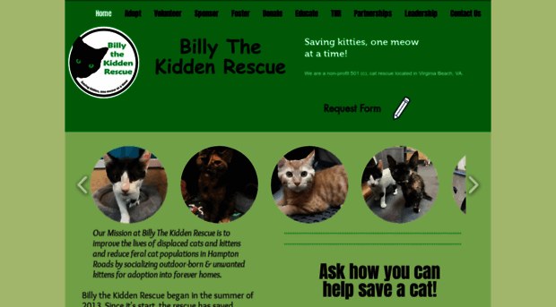 billythekiddenrescue.org