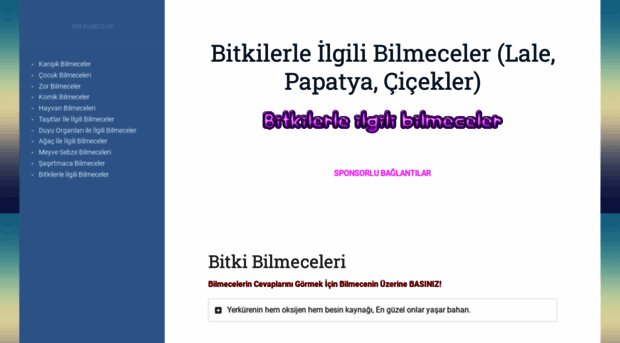 bilmeceler.org