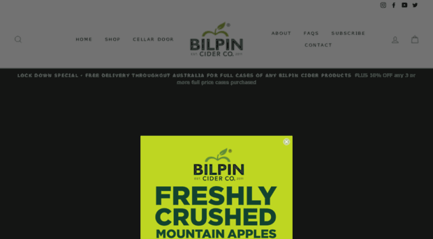 bilpincider.com