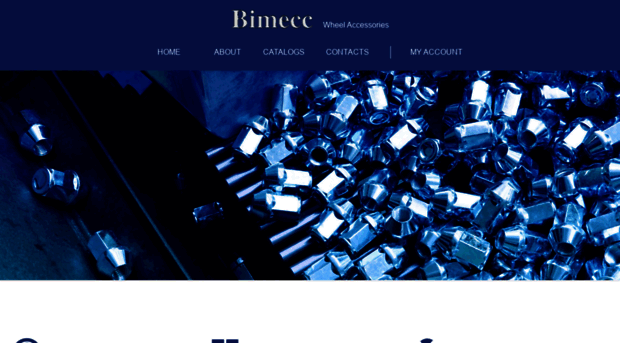 bimecc-usa.com