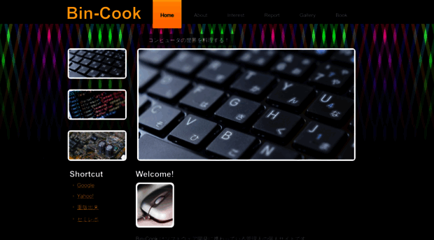 bin-cook.com