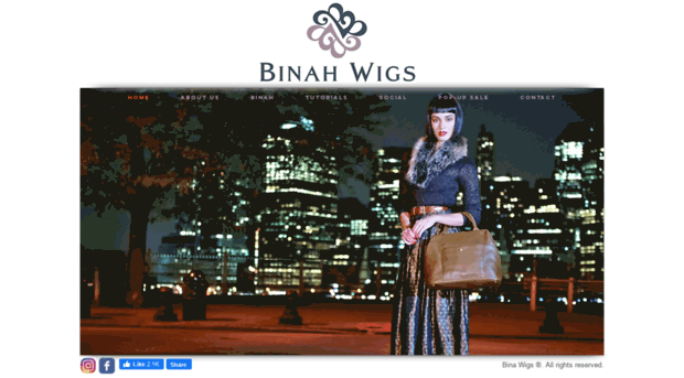 binahwigs.com