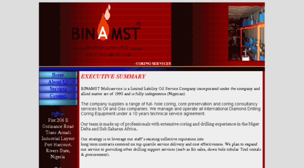 binamst.com
