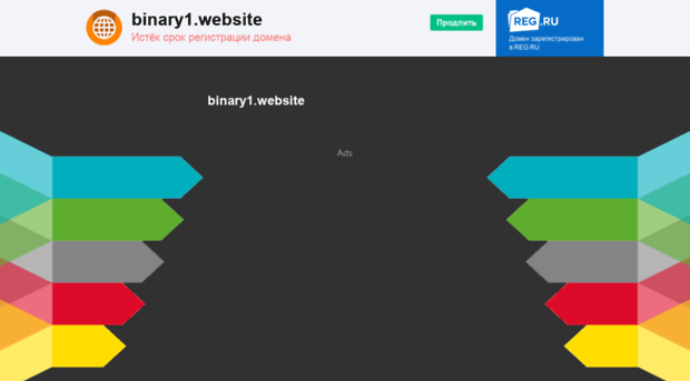 binary1.website