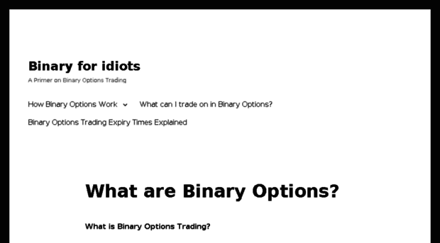 binary4idiots.com