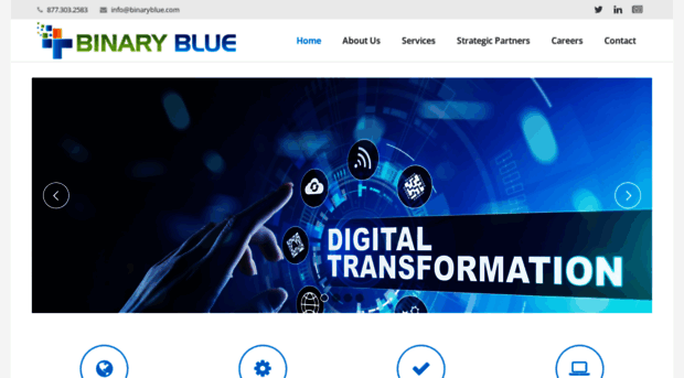 binaryblue.com