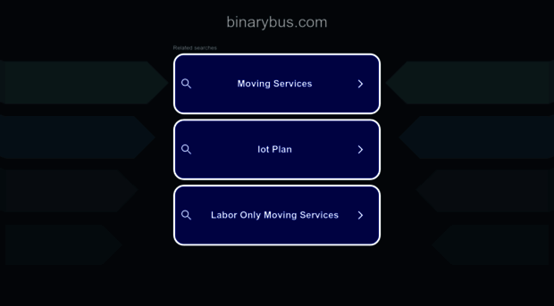 binarybus.com
