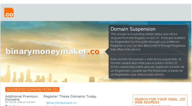 binarymoneymaker.co