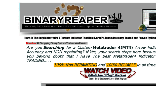 binaryreaper.com