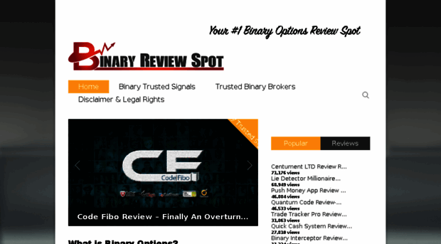 binaryreviewspot.com