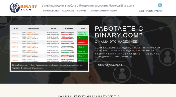 binaryteam.ru