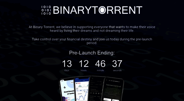 binarytorrent.com