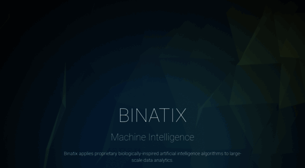 binatix.com