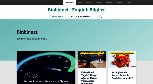 binbir.net