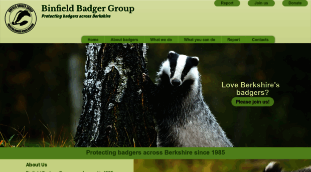 binfieldbadgers.org.uk