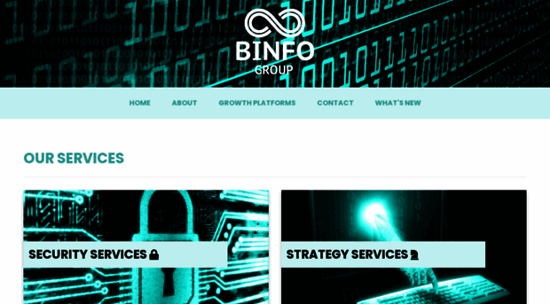 binfogroup.com