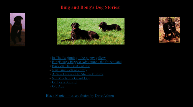 bingbong.com