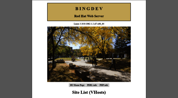 bingdev.binghamton.edu