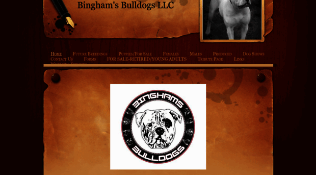 binghamsbulldogs.weebly.com