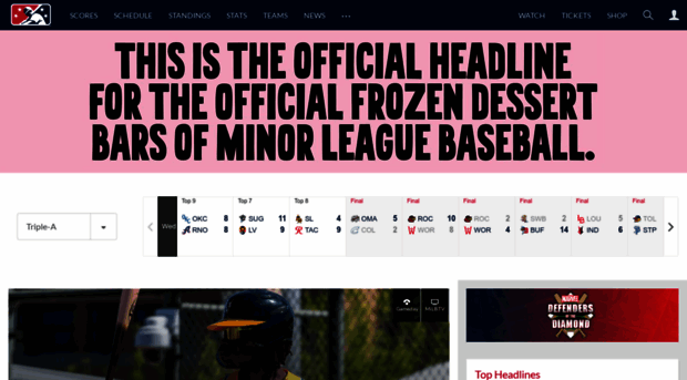 binghamton.mets.milb.com