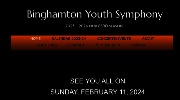 binghamtonyouthsymphony.org