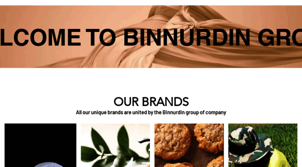 binnurdin.com